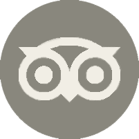 TripAdvisor Logo.