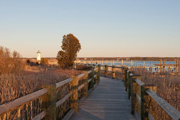 Lighthouse Beach - dog-friendly boardwalk