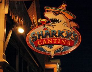 Sharky's Cantina Martha's Vineyard restaurant