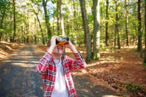 A boy looking for birds at a Martha's Vineyard Land Bank property.