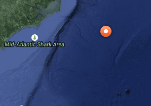 Mary Lee Shark Tracking Location