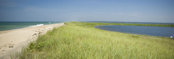 long point wildlife refuge-resized-600