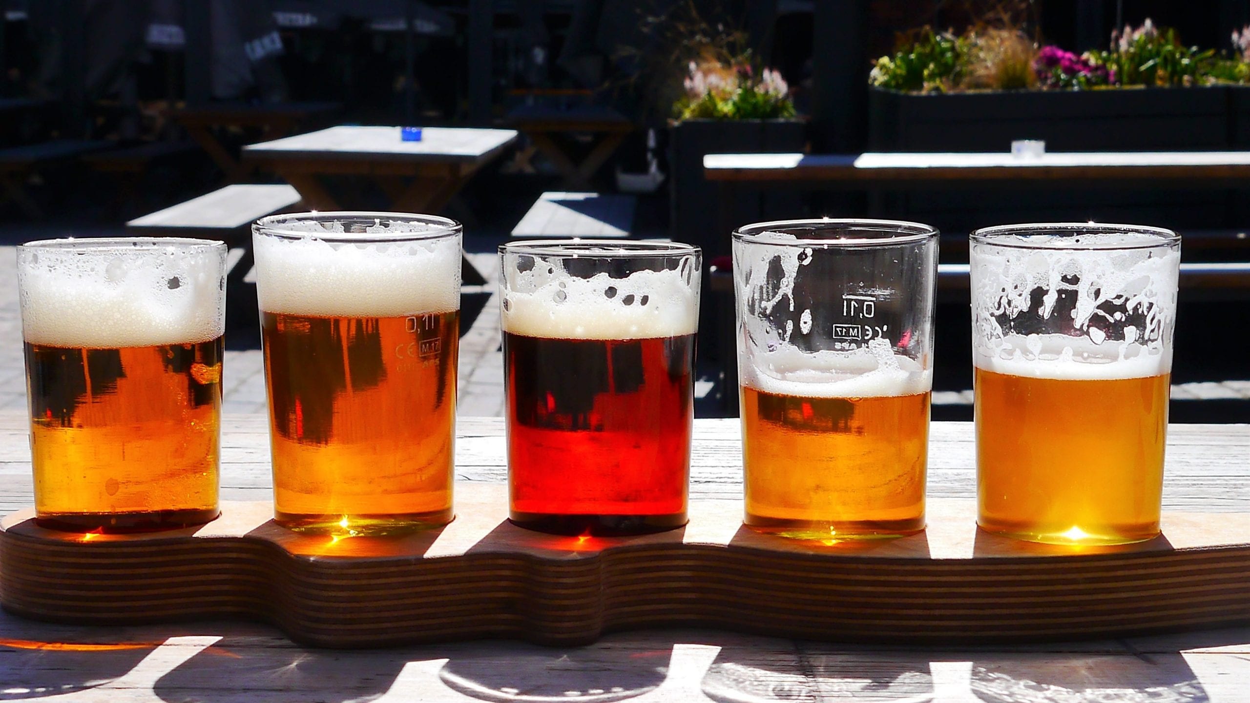 Taste a flight of craft beers at the Martha’s Vineyard Craft Beer Festival.