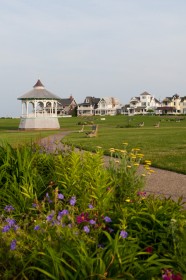 rarebrick_20110608_7808
