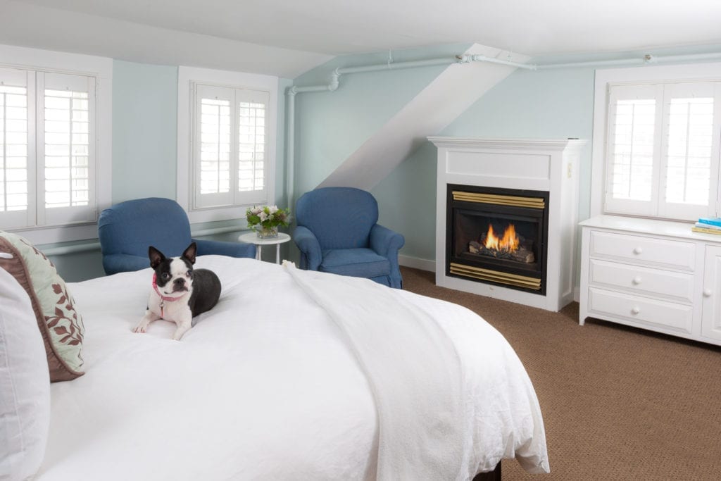 Vineyard Square Hotel pet friendly suites