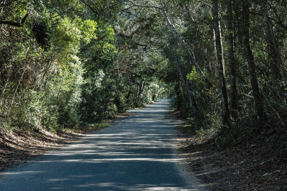 Spend a Day at the Manuel F. Correllus State Forest